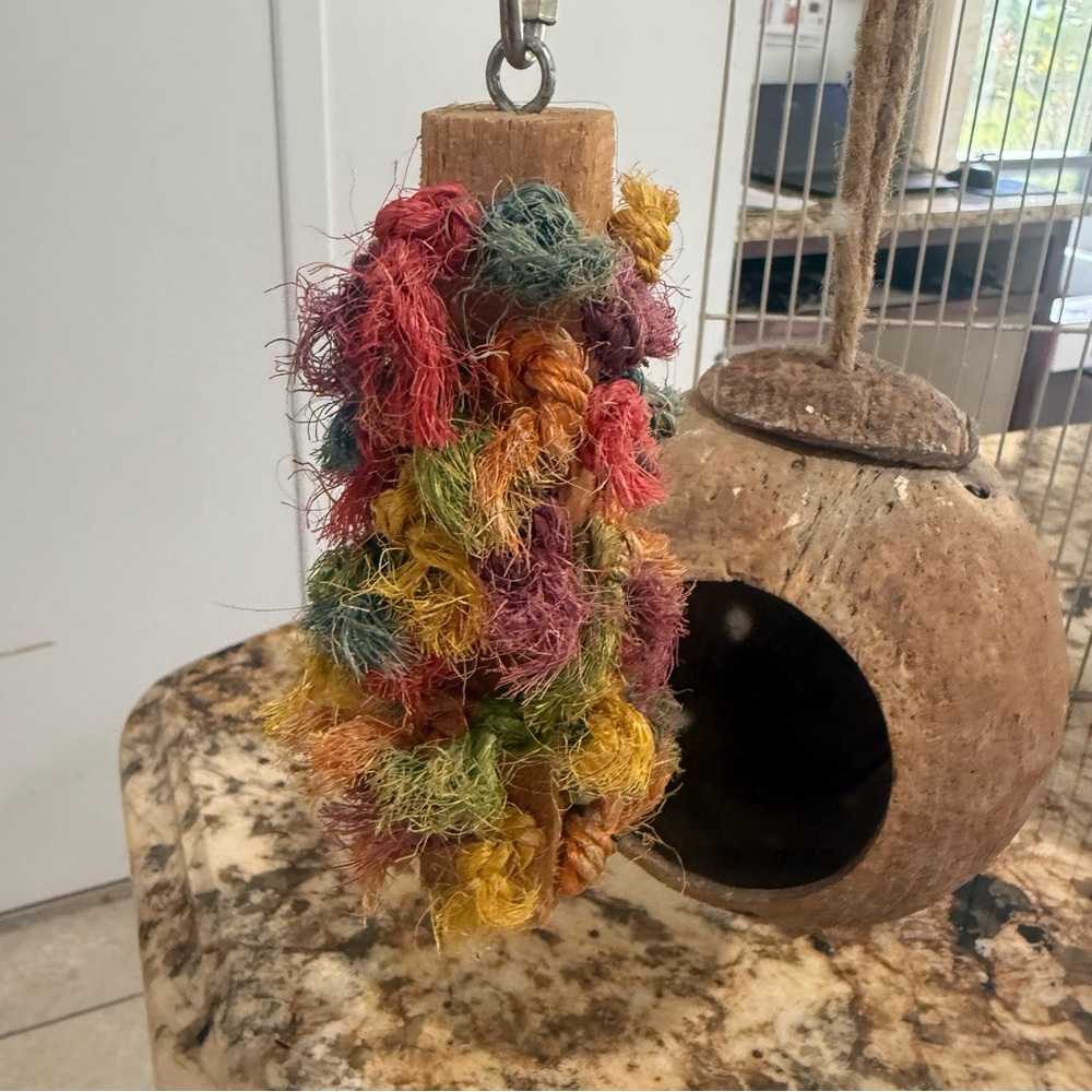 Natural Coconut Bird Toy with Colorful Rope - Picture 5 of 7